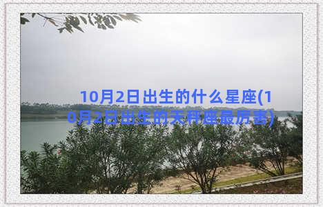 10月2日出生的什么星座(10月2日出生的天秤座最厉害)