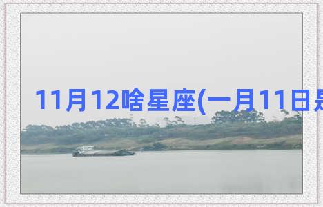 11月12啥星座(一月11日是啥星座)