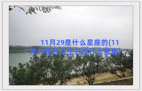 11月29是什么星座的(11月29是什么生日是什么星座)