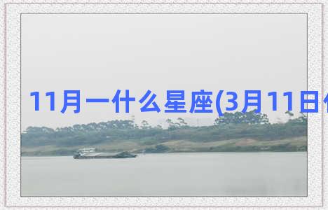 11月一什么星座(3月11日什么星座)