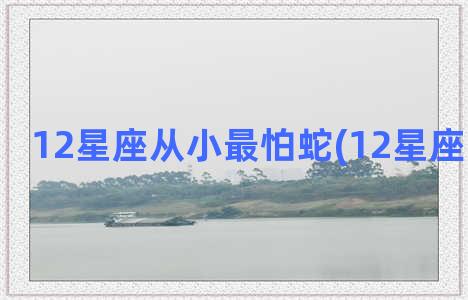 12星座从小最怕蛇(12星座最怕的歌)