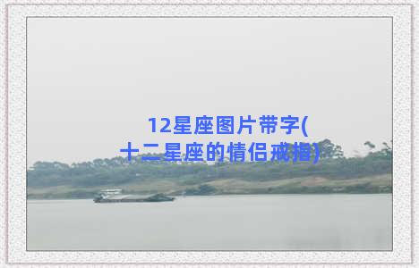 12星座图片带字(十二星座的情侣戒指)