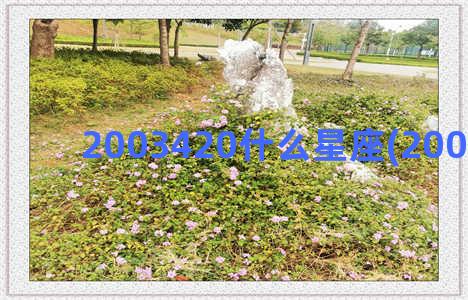 2003420什么星座(2003420农历)