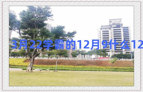 3月22学霸的12月9什么12星座婚纱照