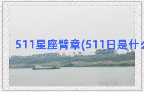 511星座臂章(511日是什么星座的)