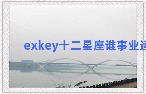 exkey十二星座谁事业运势好