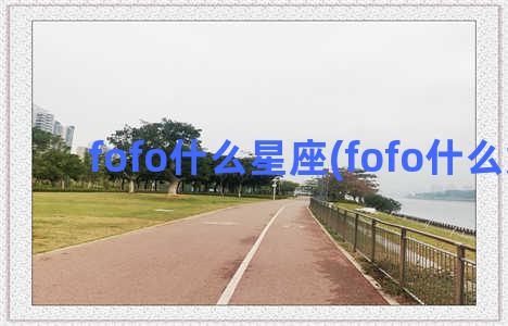 fofo什么星座(fofo什么意思)