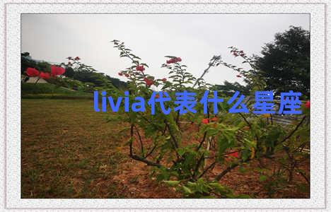 livia代表什么星座