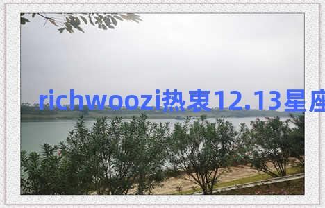 richwoozi热衷12.13星座运势2017.3.8