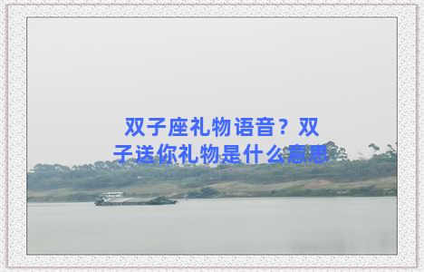 双子座礼物语音？双子送你礼物是什么意思