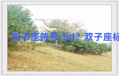 双子座符号-bd？双子座标志符号