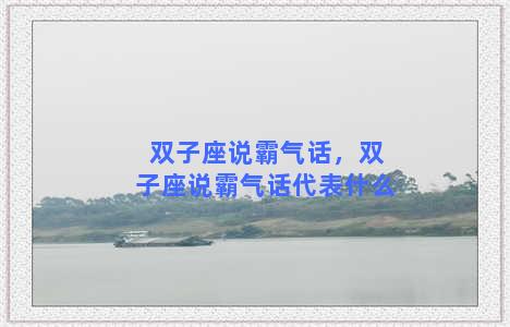 双子座说霸气话，双子座说霸气话代表什么