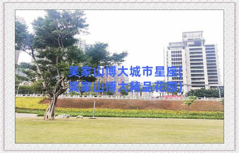 吴家山博大城市星座(吴家山博大精品花园)