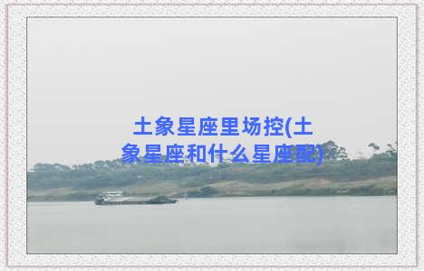 土象星座里场控(土象星座和什么星座配)