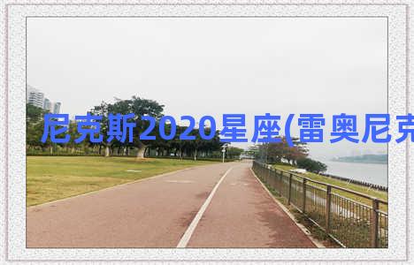 尼克斯2020星座(雷奥尼克斯星人)