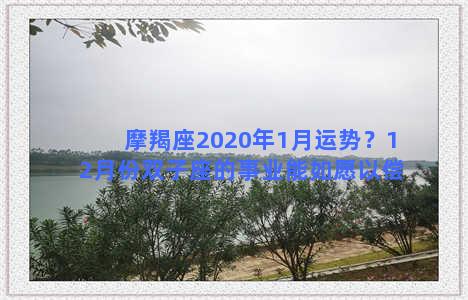 摩羯座2020年1月运势？12月份双子座的事业能如愿以偿