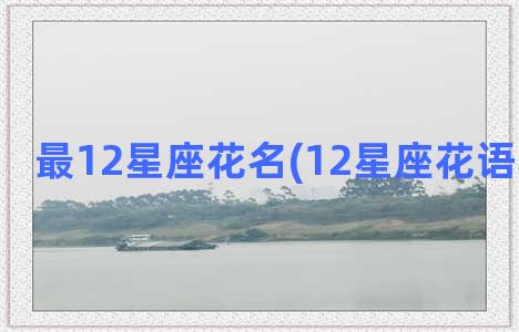 最12星座花名(12星座花语和代表花)